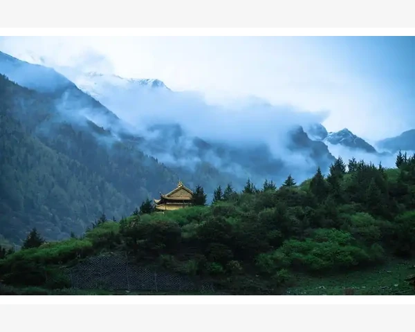 气血不足会夜里出汗吗？