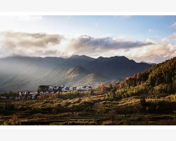 如何拔罐养脾胃：中医的智慧
