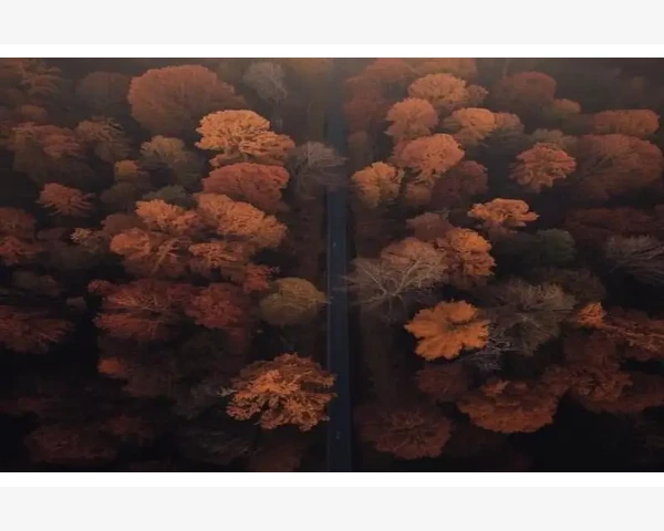 B2B科技新创企业冷电话实战价值分析